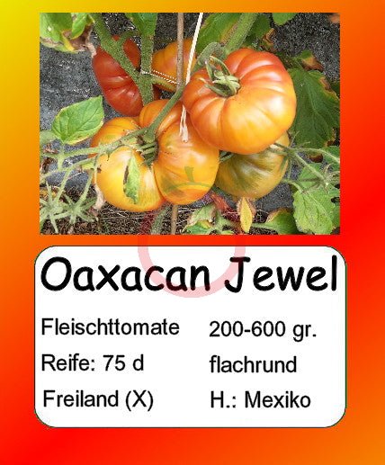 Oaxacan Jewel DER TOMATENFLÜSTERER