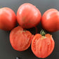 Ochsenherz teta Katica DER TOMATENFLÜSTERER