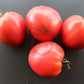 Ochsenherz teta Katica DER TOMATENFLÜSTERER