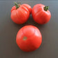 Olena Ukrainian DER TOMATENFLÜSTERER