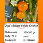 Olga´s Round Yellow Chicken DER TOMATENFLÜSTERER