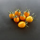 Olive Dorée DER TOMATENFLÜSTERER