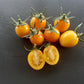 Olive Dorée DER TOMATENFLÜSTERER