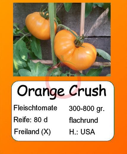 Orange Crush DER TOMATENFLÜSTERER