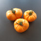 Orange Crush DER TOMATENFLÜSTERER