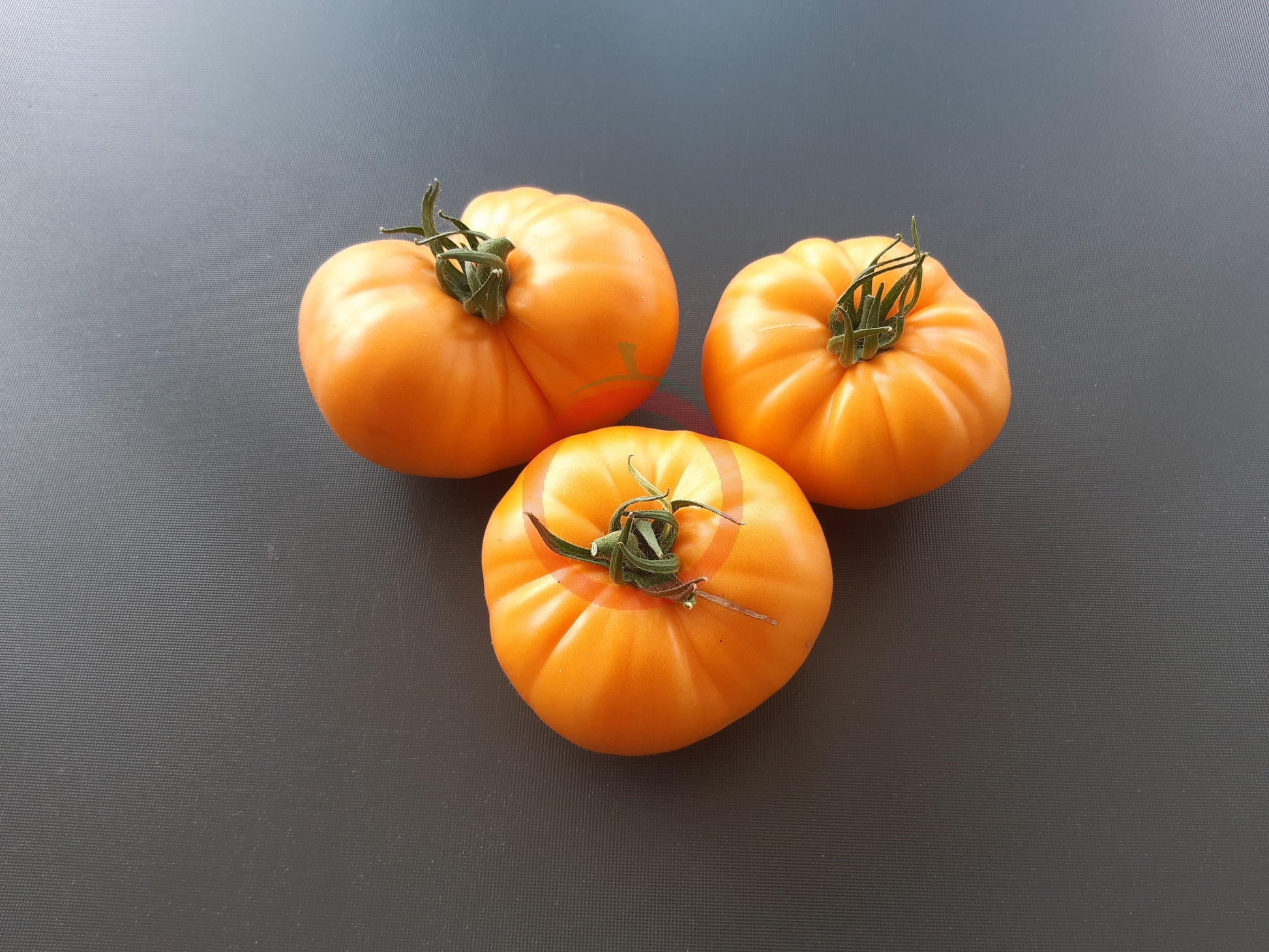 Orange Crush DER TOMATENFLÜSTERER