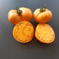 Orange Crush DER TOMATENFLÜSTERER