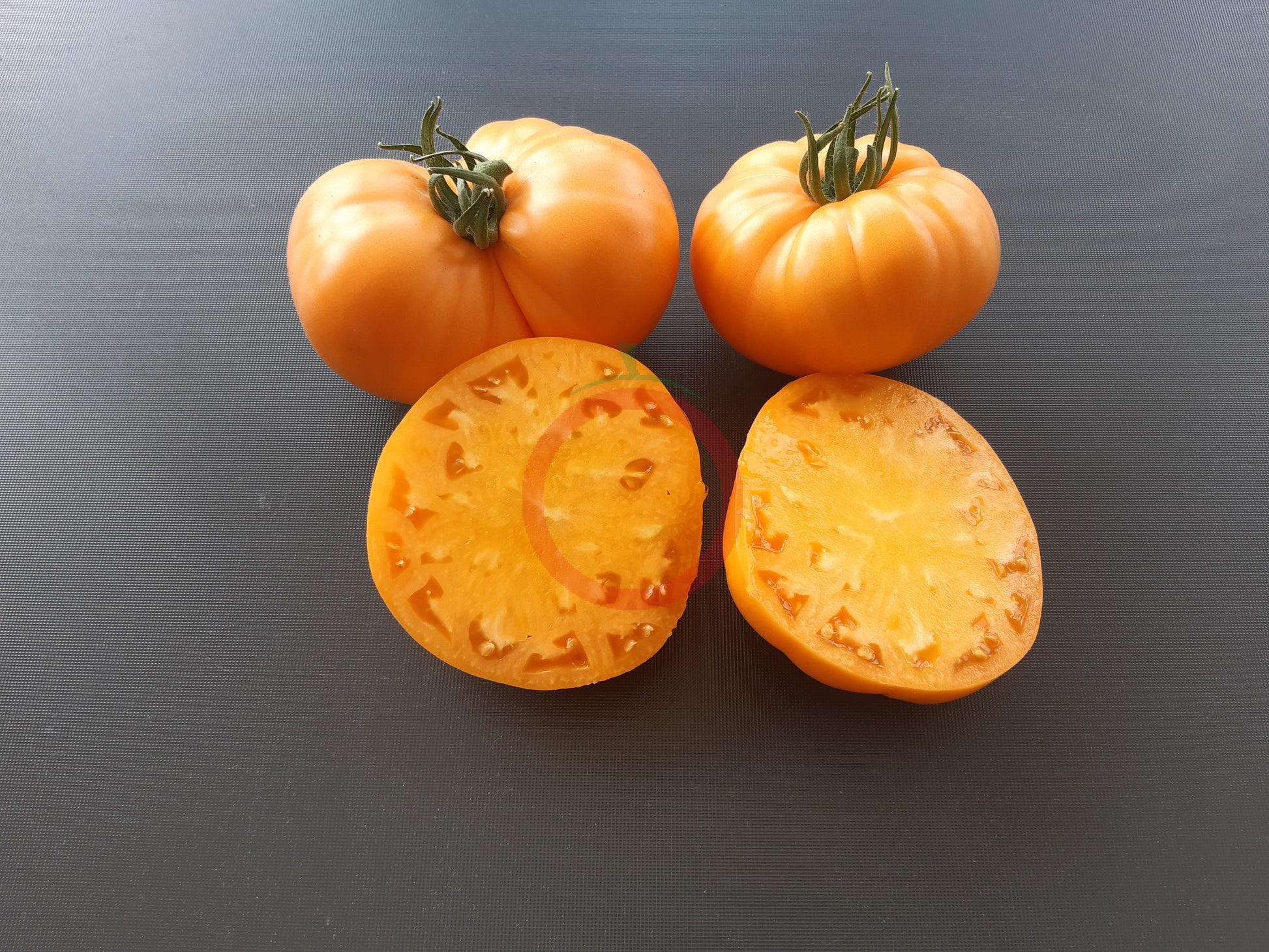Orange Crush DER TOMATENFLÜSTERER
