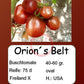 Orion´s Belt DER TOMATENFLÜSTERER