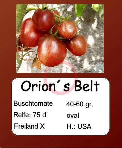 Orion´s Belt DER TOMATENFLÜSTERER