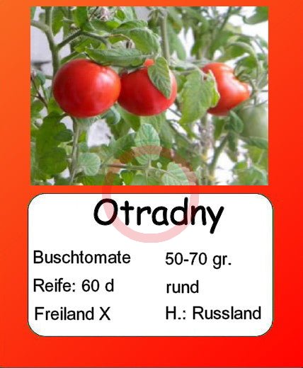 Otradny DER TOMATENFLÜSTERER