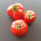 Otradny DER TOMATENFLÜSTERER