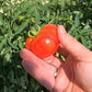Otradny DER TOMATENFLÜSTERER