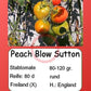 Peach Blow Sutton DER TOMATENFLÜSTERER