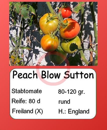 Peach Blow Sutton DER TOMATENFLÜSTERER