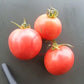 Peach Blow Sutton DER TOMATENFLÜSTERER