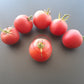 Pêche Andrieux Vilmorin DER TOMATENFLÜSTERER