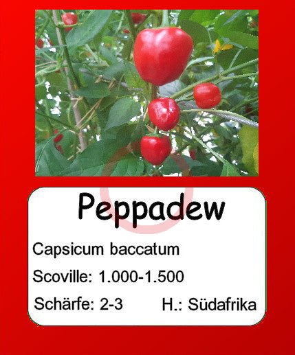 Peppdew DER TOMATENFLÜSTERER
