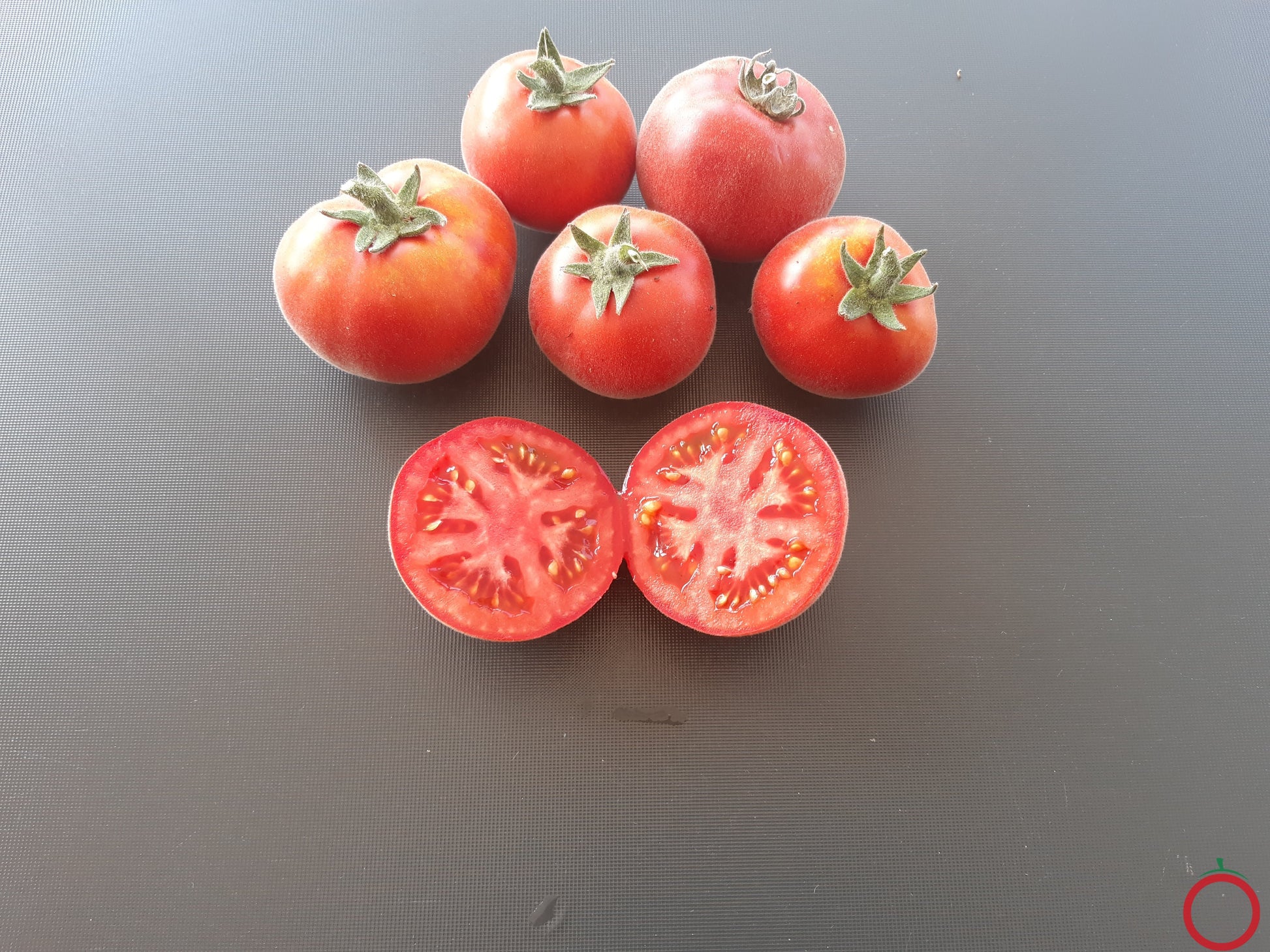 Persik DER TOMATENFLÜSTERER