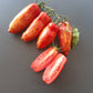 Perzevidnij Polosatij DER TOMATENFLÜSTERER