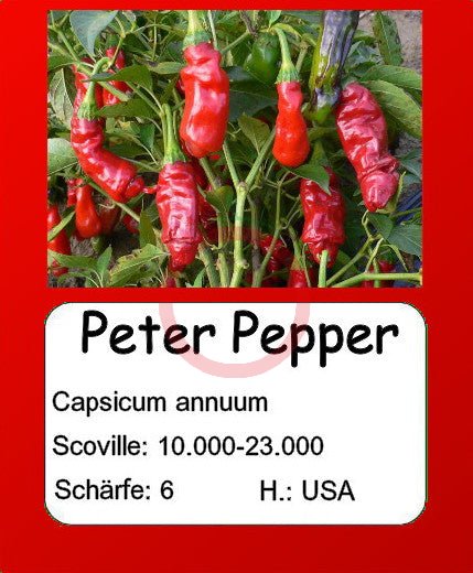 Peter Pepper DER TOMATENFLÜSTERER