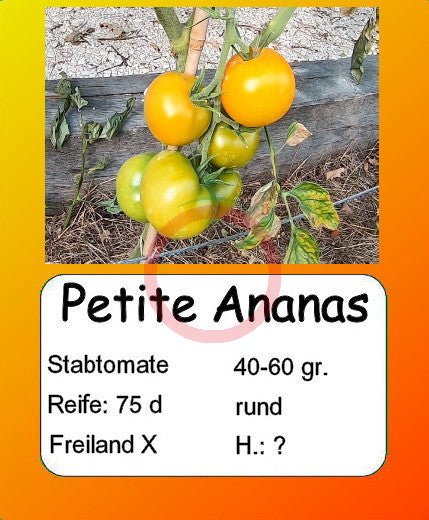 Petite Ananas DER TOMATENFLÜSTERER
