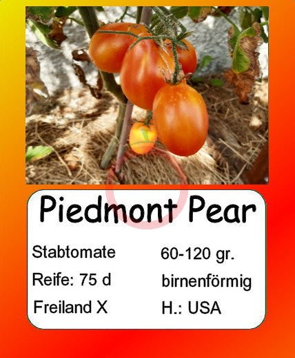 Piedmont Pear DER TOMATENFLÜSTERER