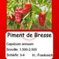 Piment de Bresse DER TOMATENFLÜSTERER