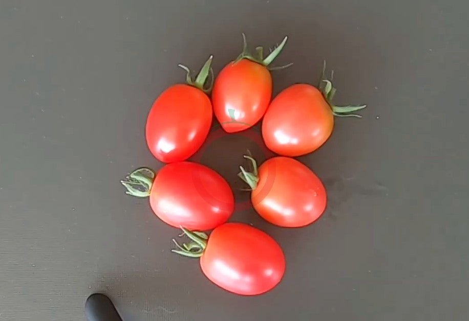 Pink Grape DER TOMATENFLÜSTERER