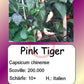 Pink Tiger DER TOMATENFLÜSTERER