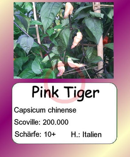 Pink Tiger DER TOMATENFLÜSTERER