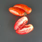 Piprakujuline Triibuline DER TOMATENFLÜSTERER
