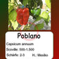 Poblano DER TOMATENFLÜSTERER