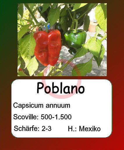 Poblano DER TOMATENFLÜSTERER