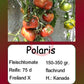 Polaris DER TOMATENFLÜSTERER