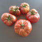Polaris DER TOMATENFLÜSTERER