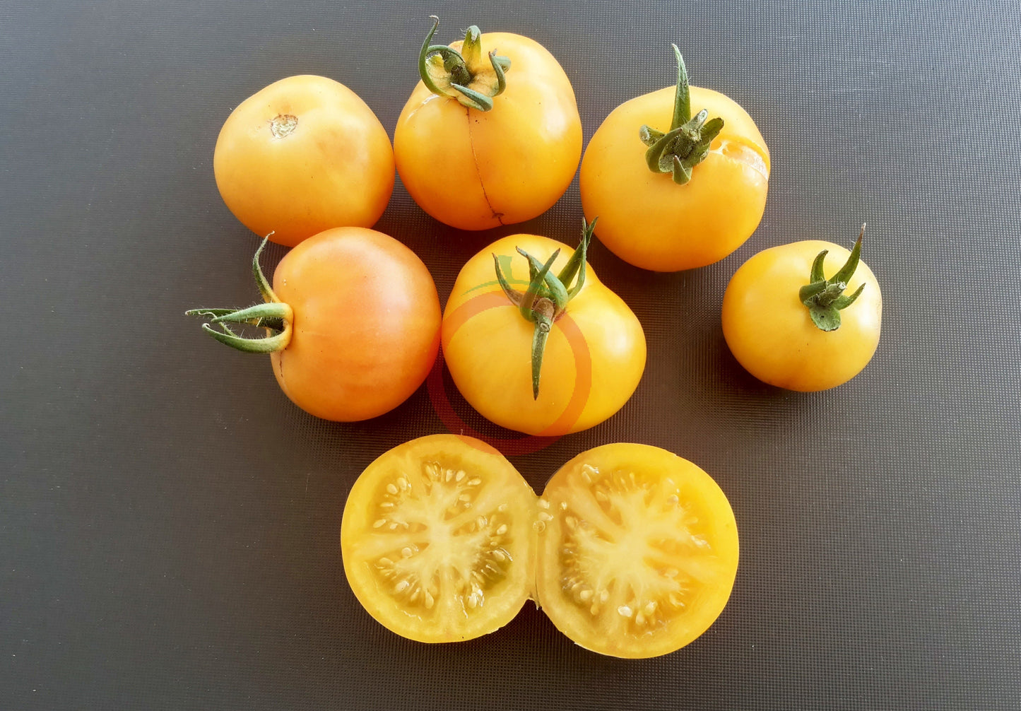 Poma Amoris Minora Lutea DER TOMATENFLÜSTERER