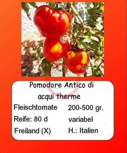 Pomodore Cuore Antico di Acqui Therme DER TOMATENFLÜSTERER