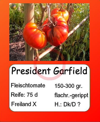 President Garfield DER TOMATENFLÜSTERER