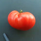 President Garfield DER TOMATENFLÜSTERER