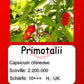 Primotalii DER TOMATENFLÜSTERER