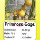Primrose Gage DER TOMATENFLÜSTERER