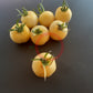Primrose Gage DER TOMATENFLÜSTERER