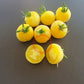 Primrose Gage DER TOMATENFLÜSTERER