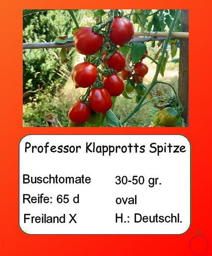 Professor Klapprotts Spitze DER TOMATENFLÜSTERER