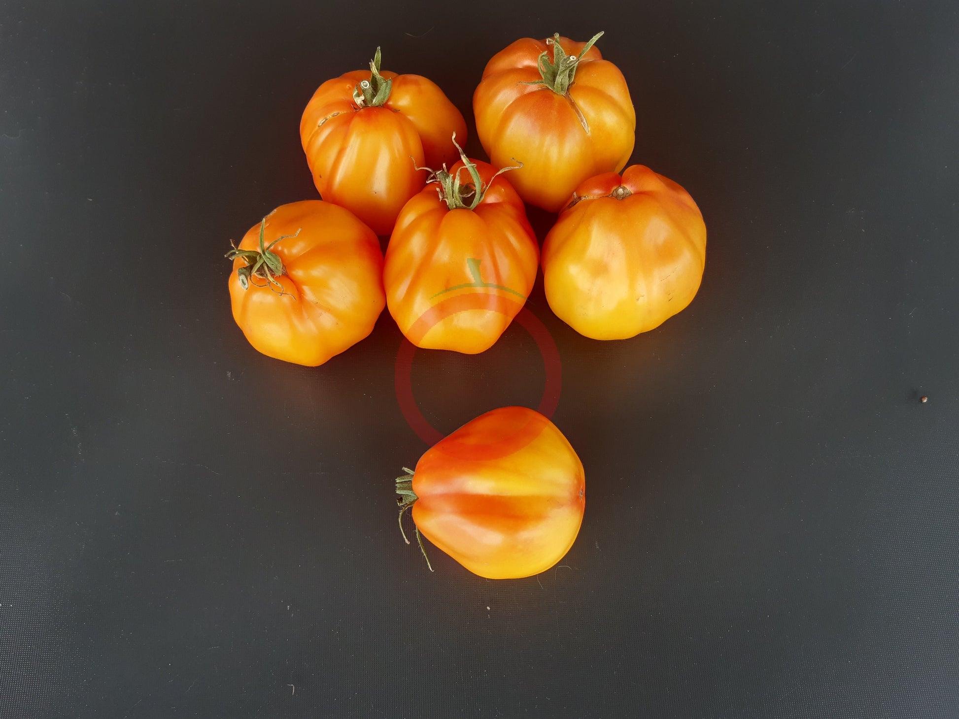 Prozorlivyy Koldun DER TOMATENFLÜSTERER