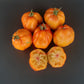 Prozorlivyy Koldun DER TOMATENFLÜSTERER