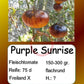 Purple Sunrise DER TOMATENFLÜSTERER