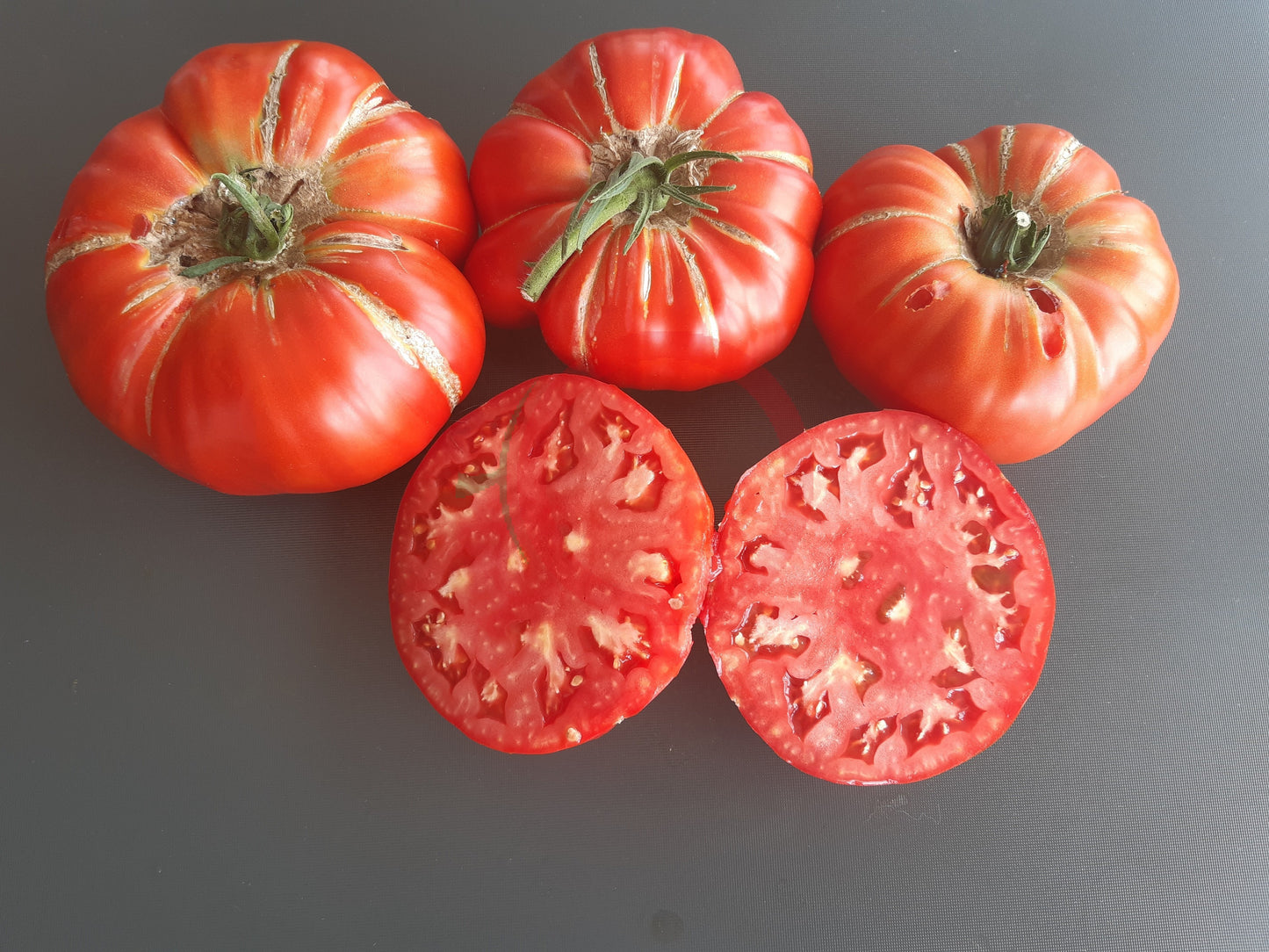 Puszta Kolosz DER TOMATENFLÜSTERER