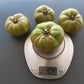 Quapaw Green DER TOMATENFLÜSTERER